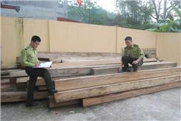 Bảo Lạc: Phát hiện, xử lý 10 vụ vi phạm Luật Bảo vệ và Phát triển rừng